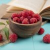 BreedingValue invites to the European Raspberry School and Raspberry Workshop on 23rd - 24th of August 2023