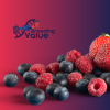 Getting Europe’s Berries Future-Ready – Results from the BreedingValue Project