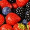 Berry tasty: BreedingValue featured in Horizon Magazine