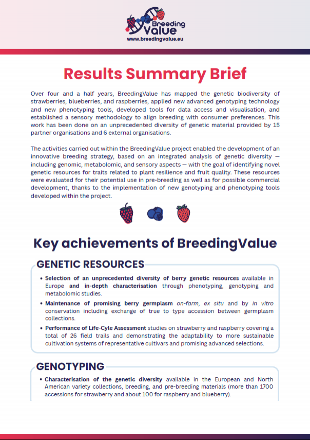 Results Summary Brief 