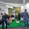 Strawberry consumer test conducted at MACFRUT trade fair