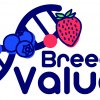 Invitation to WORKSHOP "Genomic tools for berry pre-breeding material: from genome to new berry cultivars"
