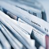 BreedingValue publication ranked as one of the most widely read papers in ′The Plant Journal‘
