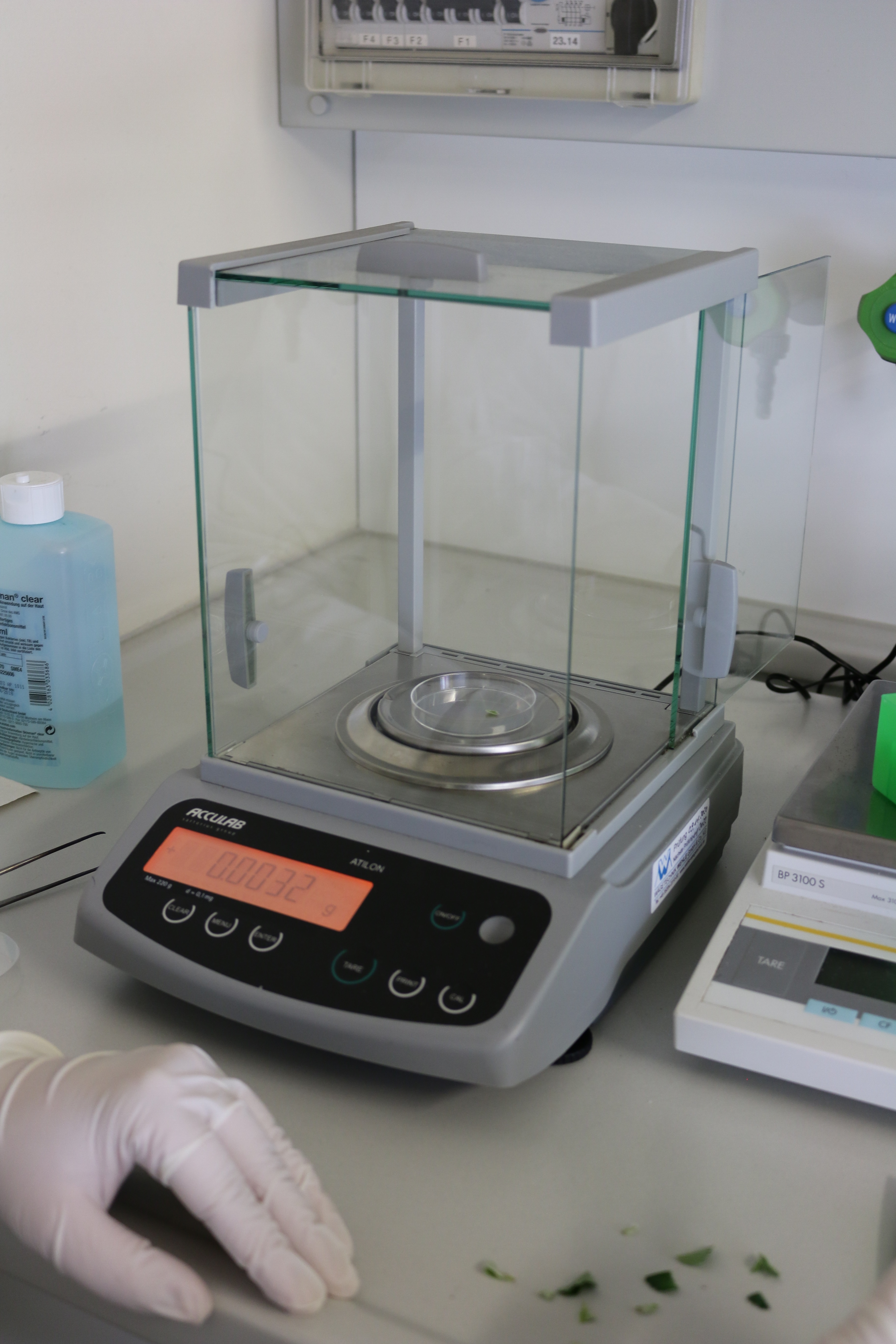 precision scales